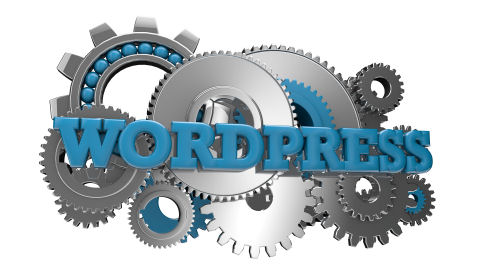 Wordpress Security Updates & Backup Help