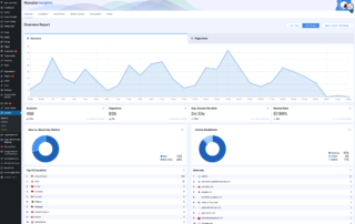 Google Analytics plugin for WordPress by Monster Insights - PRO