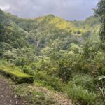 Best hikes in Maui Road to Hana 2