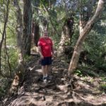 Best hikes in Maui Waikamoi Nature Trail