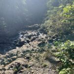Best hikes in Maui Waikamoi Nature Trail 3