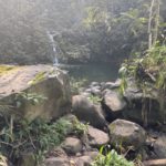 Best hikes in Maui Waikamoi Nature Trail 4